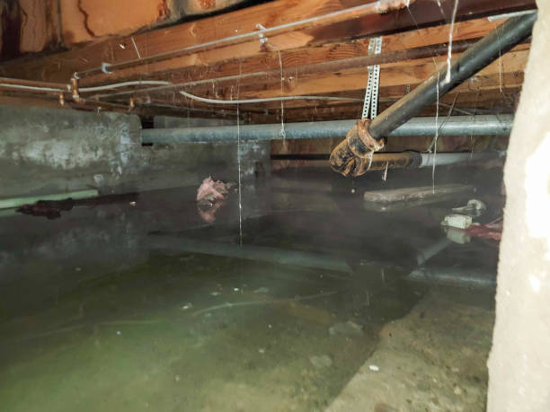 Best Water damage restoration cost  in USA